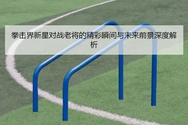拳击界新星对战老将的精彩瞬间与未来前景深度解析